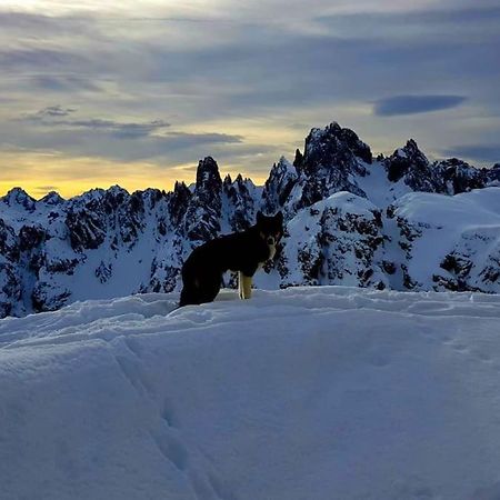 Appartamento Daniela Dolomiti. Auronzo di Cadore Exteriér fotografie