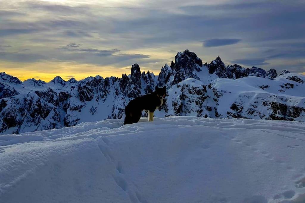 Appartamento Daniela Dolomiti. Auronzo di Cadore Exteriér fotografie